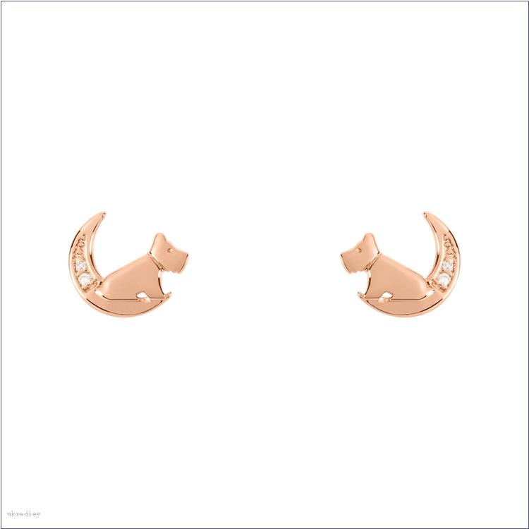 UKRadleyBAG Jewelry designer earrings